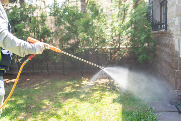 Best Cockroach Control  in Idyllwild Pine Cove, CA